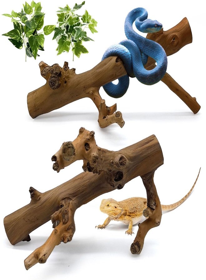 كاثسون غصنان لتسلق الثعابين من كاثرون، زينة أغصان خشبية للزواحف، إكسسوارات تسلق خشبية مصقولة طبيعية للسحالي، زينة جذوع الأشجار لأحواض الزواحف، مناسبة للتنانين الملتحية، والوزغات، والحرباء، والضفادع. - Image 1